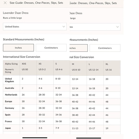 Free People Lavender Daze Midi Dress Strawberry Lemon Combo NWOT! SZ S - Picture 6 of 11